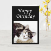 Happy Birthday Kat Kaart (Gele Bloem)