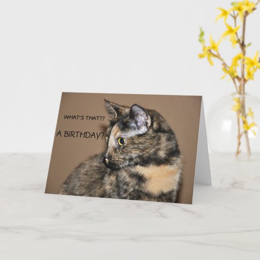 Happy Birthday Kat Kaart (Gele Bloem)