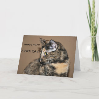 Happy Birthday Kat Kaart