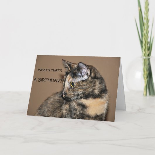 Happy Birthday Kat Kaart (Voorkant)
