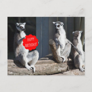 Happy Birthday Katta Briefkaart