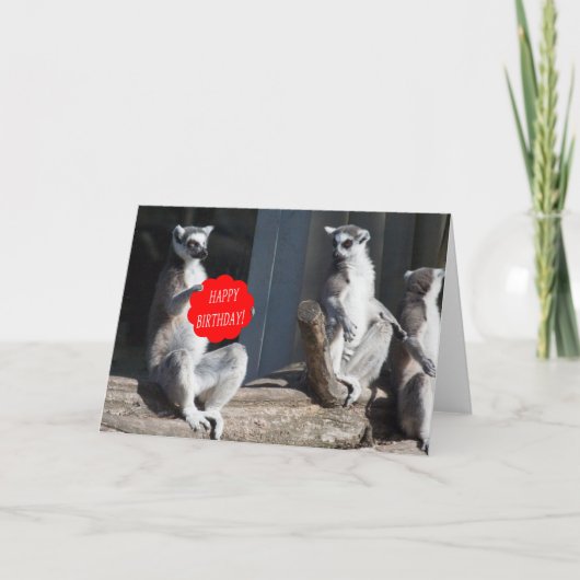 Happy Birthday Katta Kaart (Voorkant)