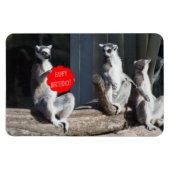 Happy Birthday Katta Magneet (Horizontaal)