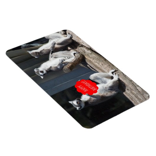 Happy Birthday Katta Magneet (Rechterzijde)