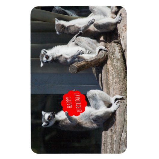 Happy Birthday Katta Magneet (Verticaal)