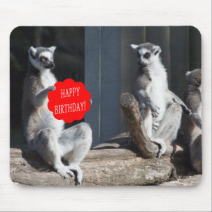 Happy Birthday Katta Muismat