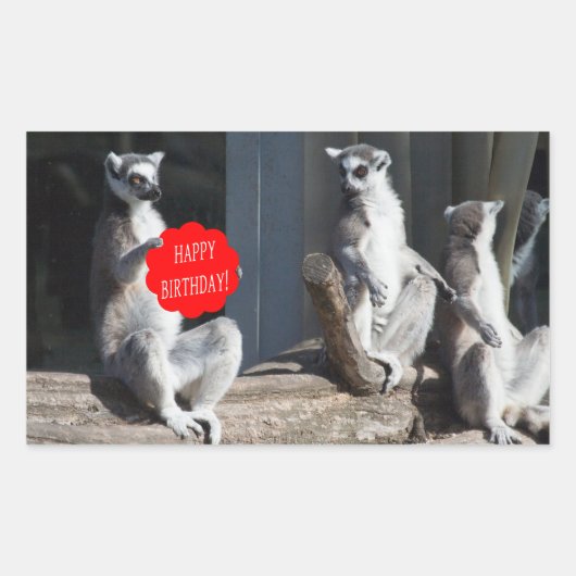 Happy Birthday Katta Rechthoekige Sticker (Voorkant)