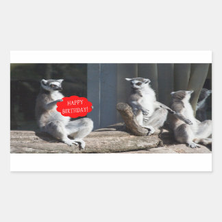 Happy Birthday Katta Rechthoekige Sticker