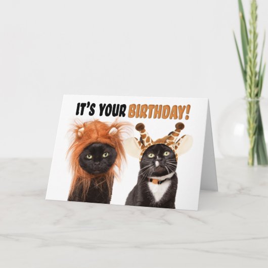 Happy Birthday Katten gekleed als wilde dieren Feestdagen Kaart (Voorkant)