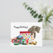 Happy Birthday kitten Briefkaart (Staand voorkant)