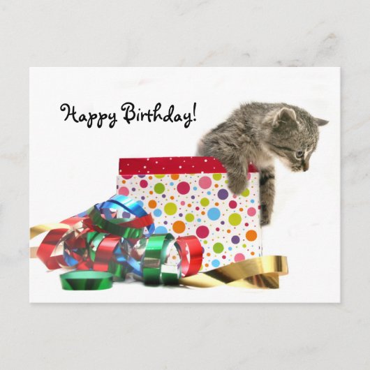Happy Birthday kitten Briefkaart (Voorkant)