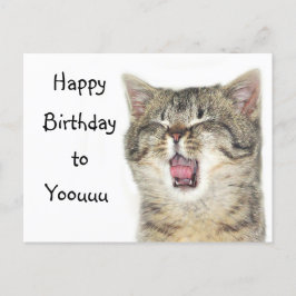 Happy Birthday kitten Briefkaart