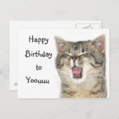 Happy Birthday kitten Briefkaart (Voorkant / Achterkant)