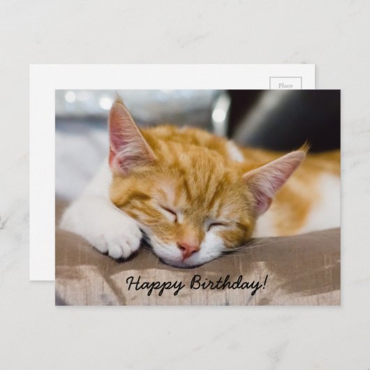 Happy Birthday Kitten Briefkaart (Voorkant / Achterkant)