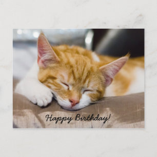 Happy Birthday Kitten Briefkaart