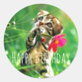 Happy Birthday Kitten Circle Stickers (Voorkant)