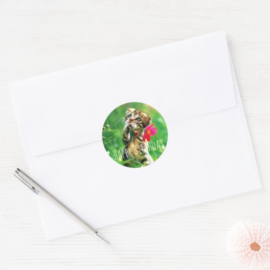 Happy Birthday Kitten Circle Stickers (Envelop)