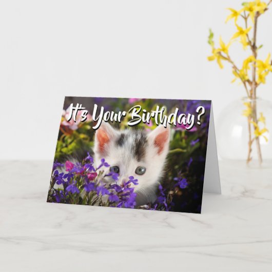 Happy Birthday Kitten Flowers Kaart (Gele Bloem)
