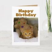 Happy Birthday Kitten Kaart (Voorkant)
