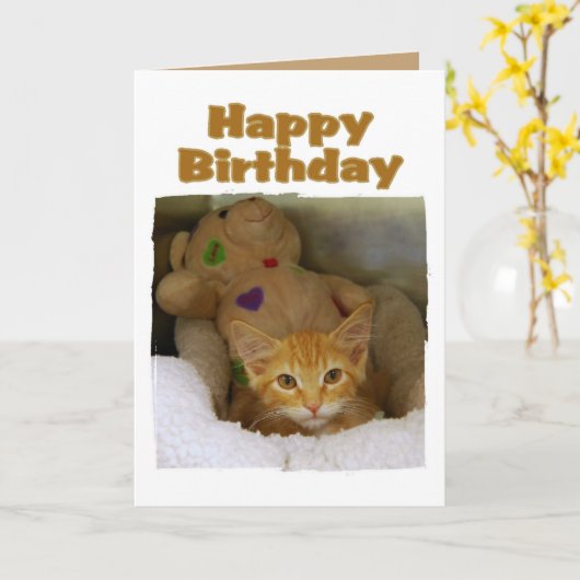 Happy Birthday Kitten Kaart (Gele Bloem)