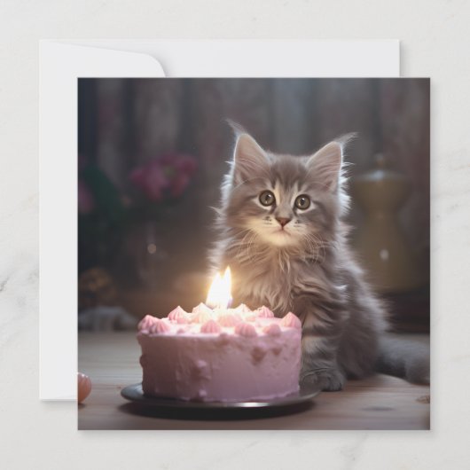 Happy Birthday Kitten Kaart (Voorkant)