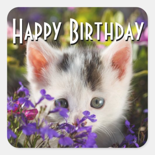 Happy Birthday Kitten Vierkante Sticker (Voorkant)