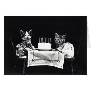  - Happy Birthday Kittens (Blank Inside),