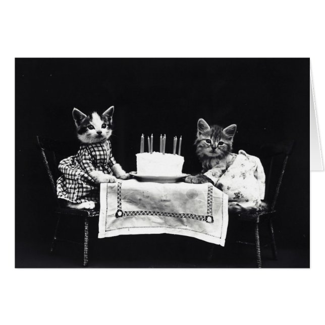  - Happy Birthday Kittens (Blank Inside), (Voorkant Horizontaal)