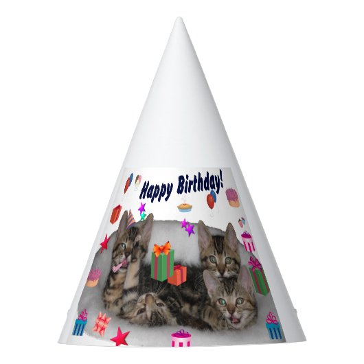 Happy Birthday Kittens Feesthoedjes (Voorkant)