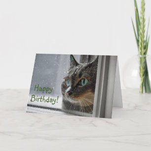 Happy Birthday Kitty Cat Bedankkaart