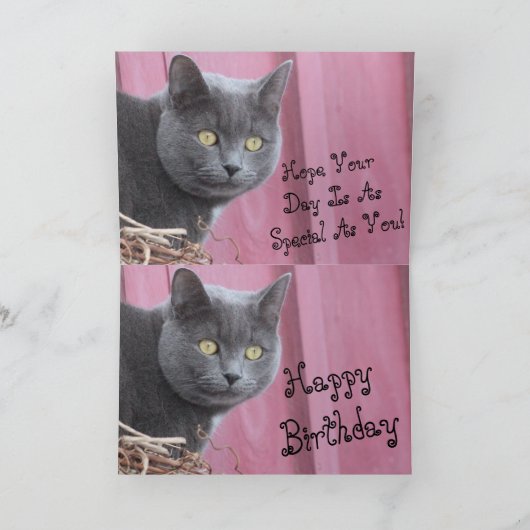 Happy Birthday Kitty Cat Kaart (Binnen)