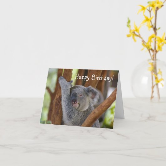 Happy Birthday Koala Beer Kaart (Gele Bloem)