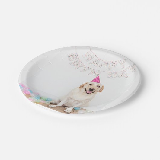 Happy Birthday Lab Bord (Gekanteld)