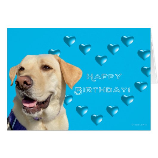Happy Birthday Labrador Dog Hearts, Schattig (Voorkant Horizontaal)