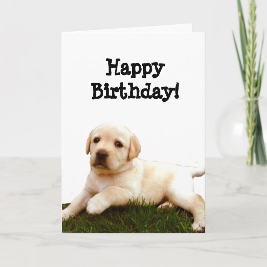 Happy Birthday Labrador puppy wenskaart Kaart (Voorkant)