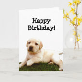 Happy Birthday Labrador puppy wenskaart Kaart (Gele Bloem)