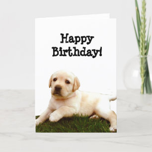 Happy Birthday Labrador puppy wenskaart Kaart