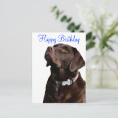 Happy Birthday Labrador Retriever Dog Post Kaart (Staand voorkant)