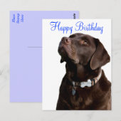 Happy Birthday Labrador Retriever Dog Post Kaart (Voorkant / Achterkant)