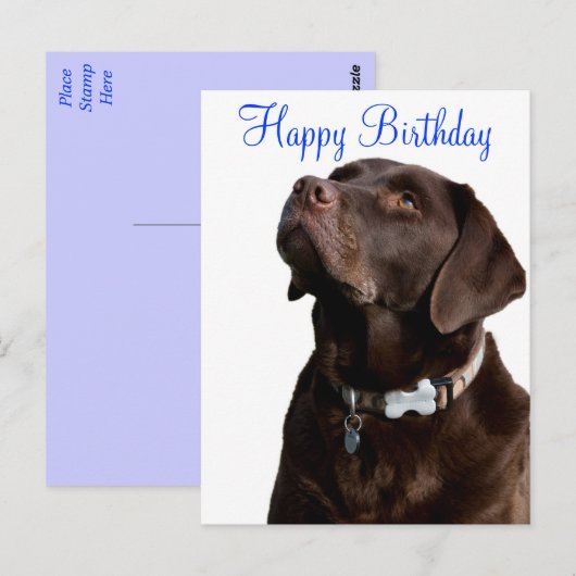 Happy Birthday Labrador Retriever Dog Post Kaart (Voorkant / Achterkant)