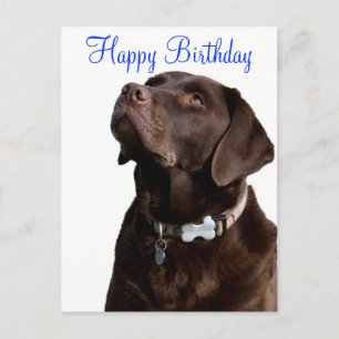 Happy Birthday Labrador Retriever Dog Post Kaart