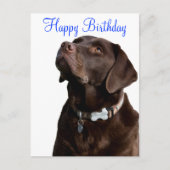 Happy Birthday Labrador Retriever Dog Post Kaart (Voorkant)