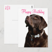 Happy Birthday Labrador Retriever Dog Post Kaart (Voorkant / Achterkant)