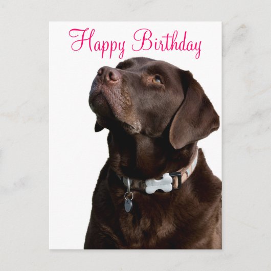 Happy Birthday Labrador Retriever Dog Post Kaart (Voorkant)
