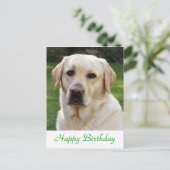 Happy Birthday Labrador Retriever Dog Post Kaart (Staand voorkant)