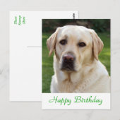 Happy Birthday Labrador Retriever Dog Post Kaart (Voorkant / Achterkant)
