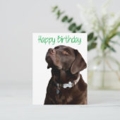 Happy Birthday Labrador Retriever Dog Post Kaart (Staand voorkant)