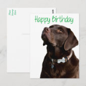 Happy Birthday Labrador Retriever Dog Post Kaart (Voorkant / Achterkant)