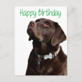 Happy Birthday Labrador Retriever Dog Post Kaart (Voorkant)
