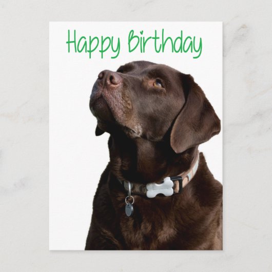 Happy Birthday Labrador Retriever Dog Post Kaart (Voorkant)